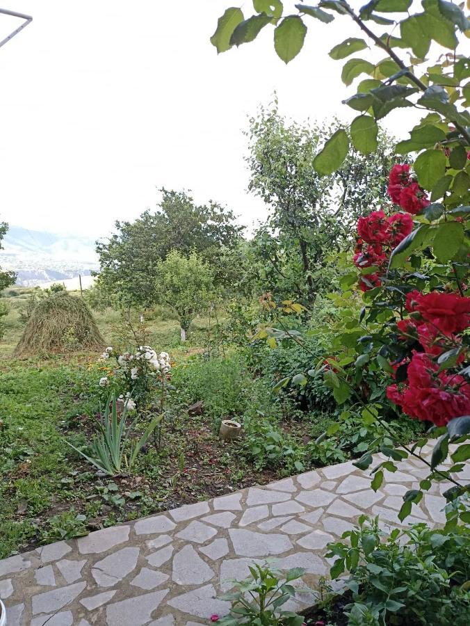 Amoj B&B And Guest House Alaverdi Exterior photo